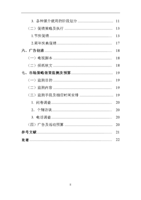 創維彩電廣西市場年度營銷策劃方案